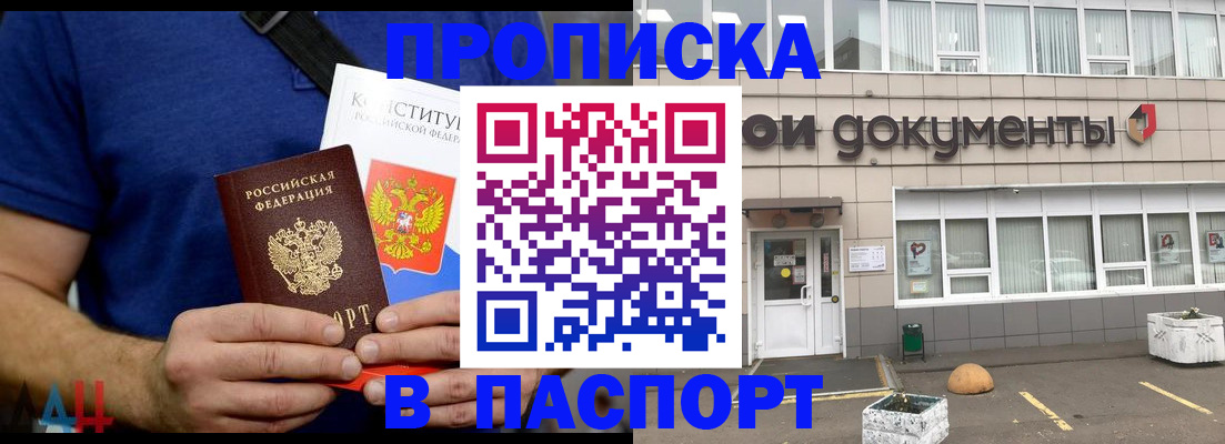 прописка паспорт в Палласовке